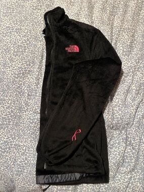 North Face summit series jacket